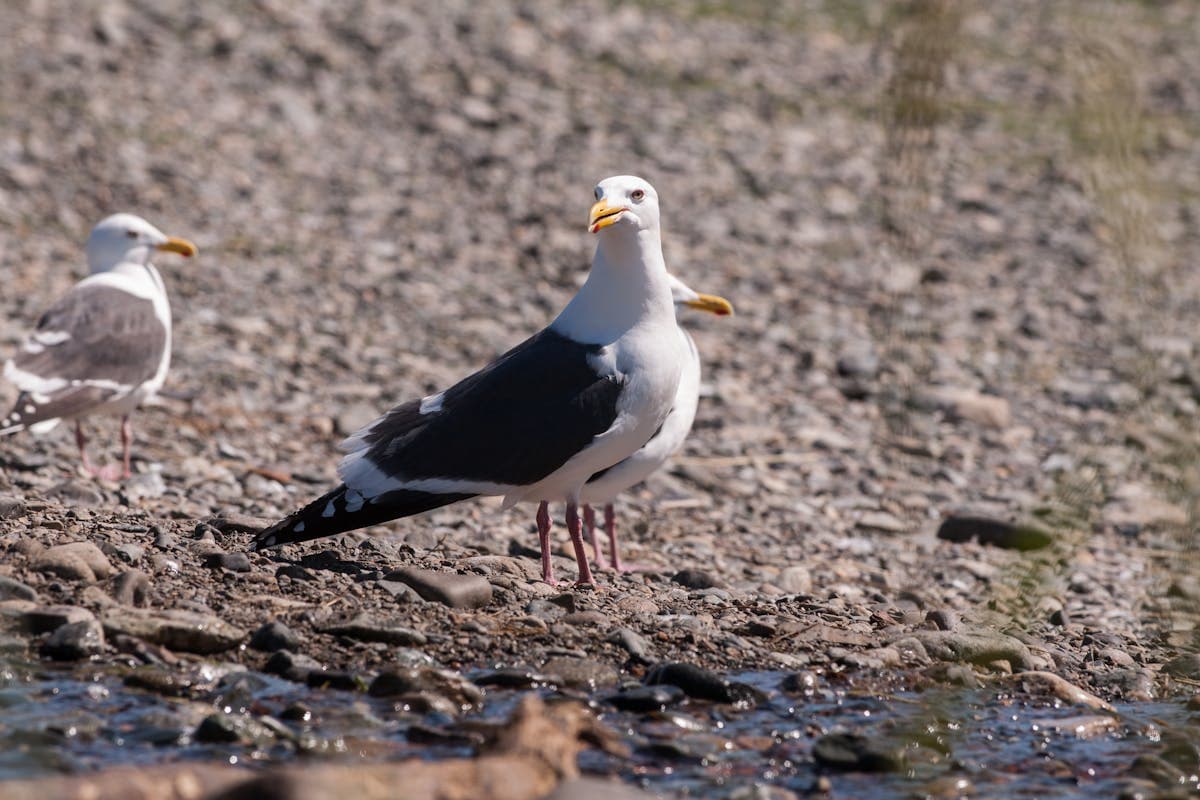 Comment entretenir son chauffe-eau ?